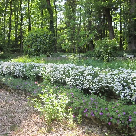 La Petite Thimote Bed & Breakfast